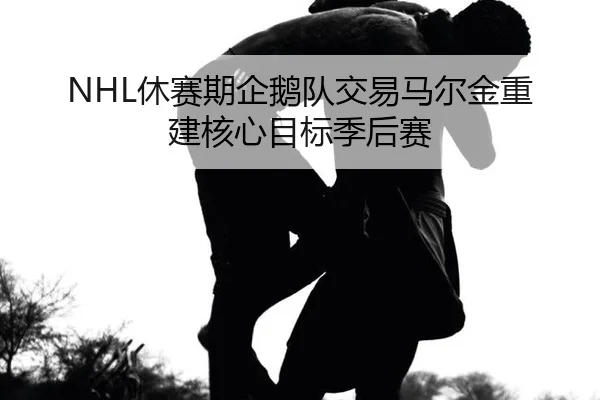 NHL休赛期企鹅队交易马尔金重建核心目标季后赛